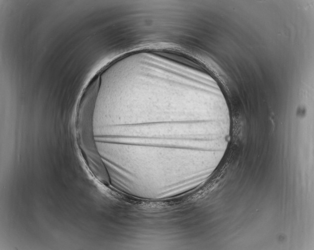 X0000098231046200805151336