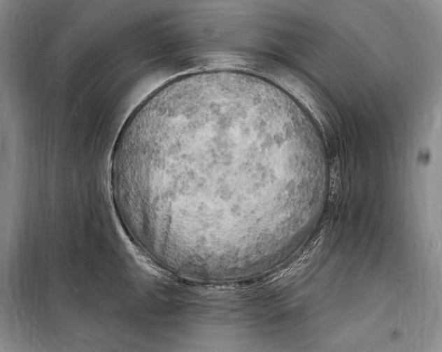 X0000098231047200805151336