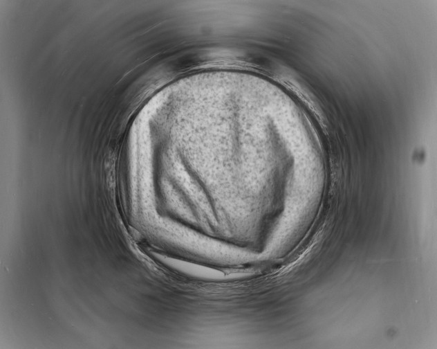 X0000098231049200805151336