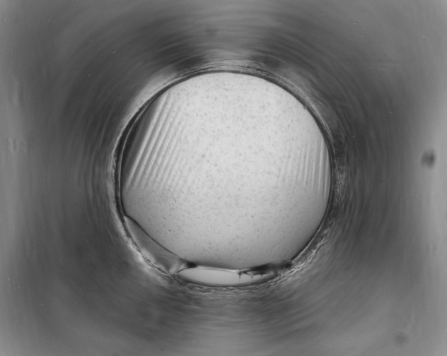 X0000098231050200805151336