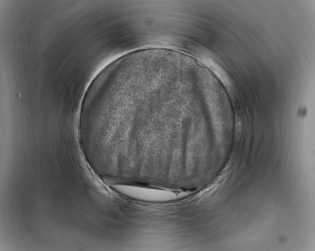 X0000098231052200805151336