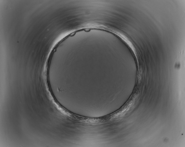 X0000098231053200805151336