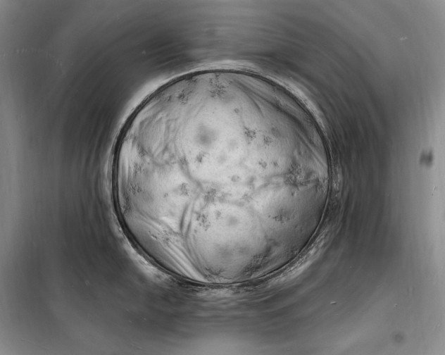 X0000098231054200805151336