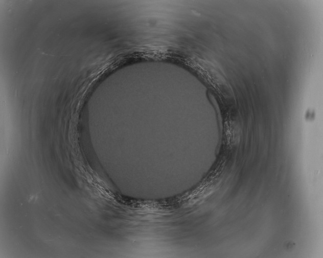 X0000098231057200805151336