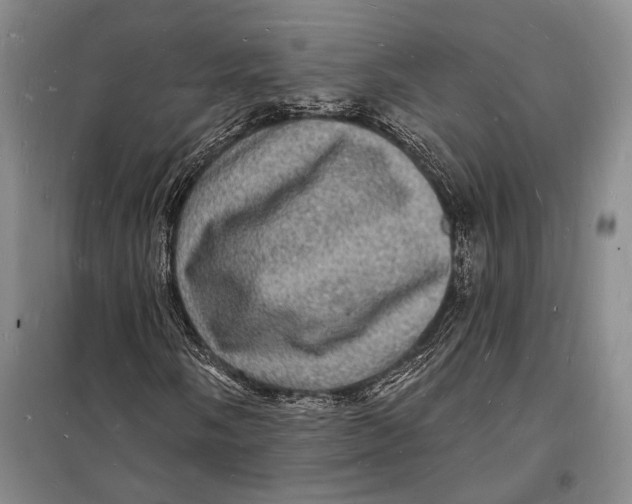 X0000098231058200805151336