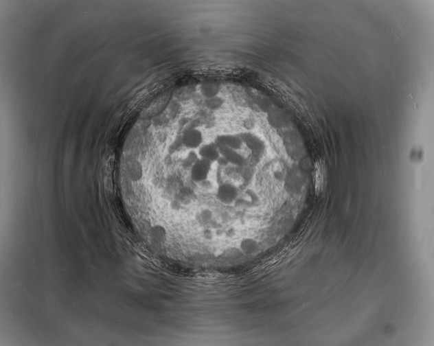 X0000098231059200805151336