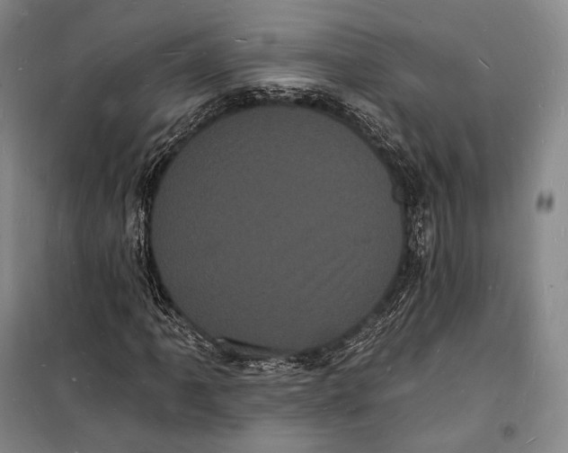 X0000098231061200805151336