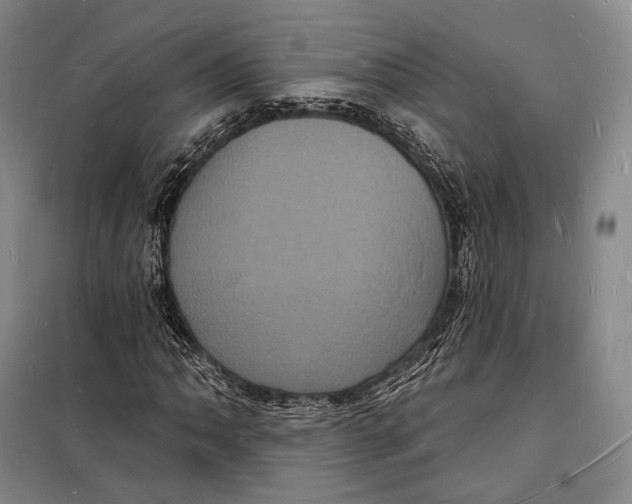 X0000098231062200805151335