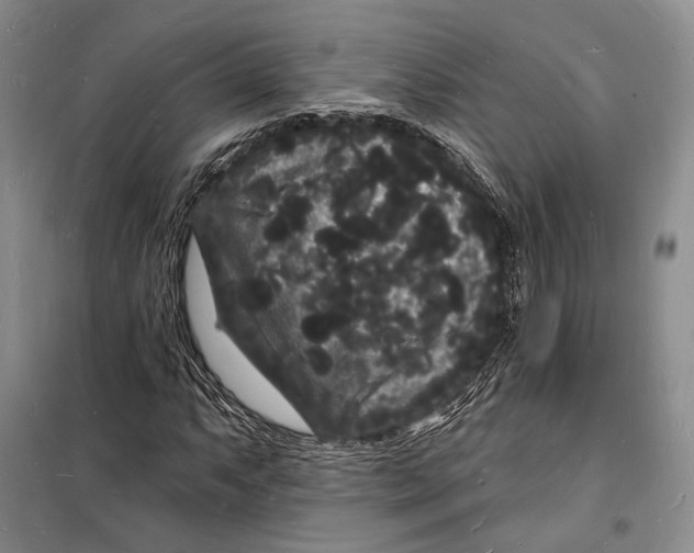 X0000098231063200805151335