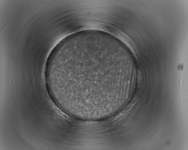 X0000098231068200805151335