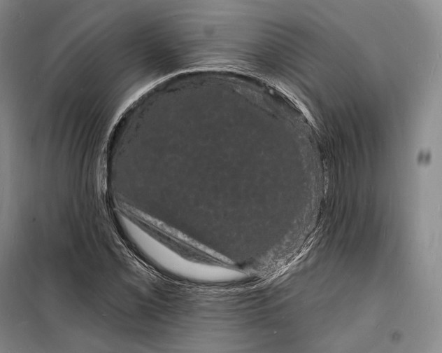 X0000098231069200805151335