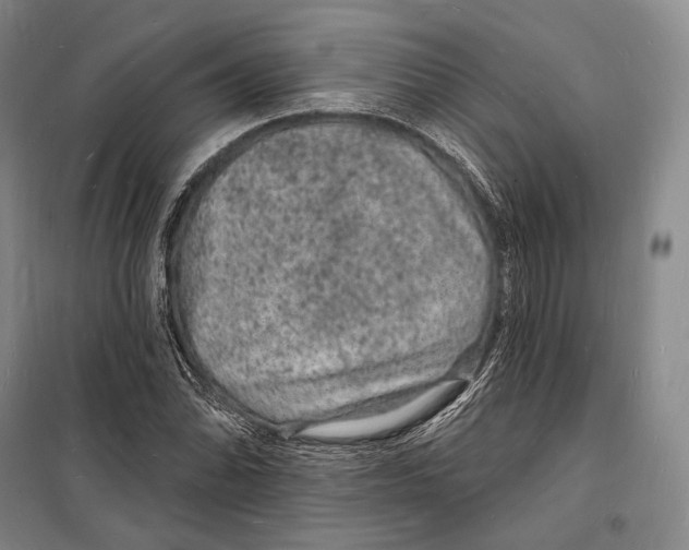 X0000098231070200805151335