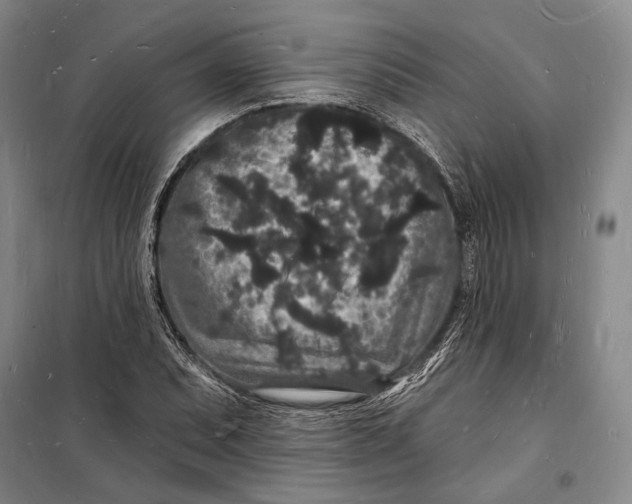 X0000098231071200805151335