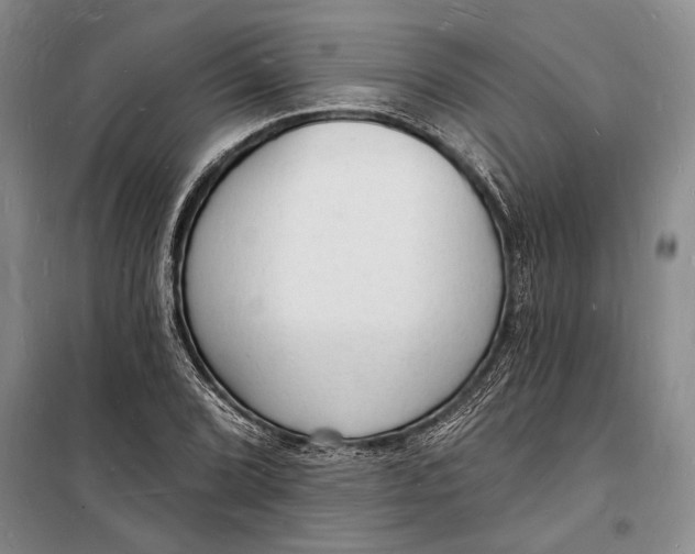 X0000098231072200805151335