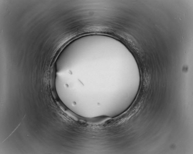 X0000098231073200805151335