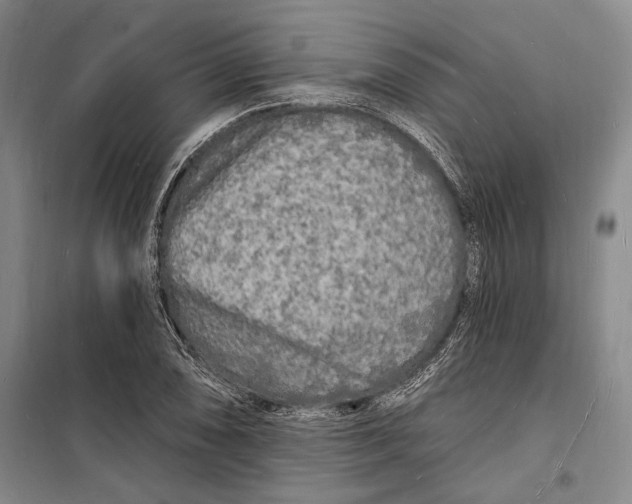 X0000098231074200805151335