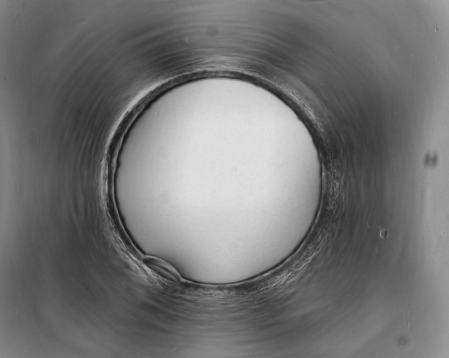 X0000098231076200805151335