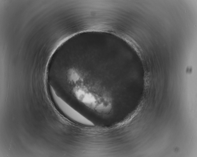 X0000098231077200805151335