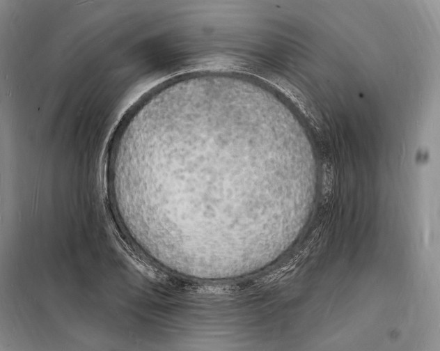 X0000098231078200805151335