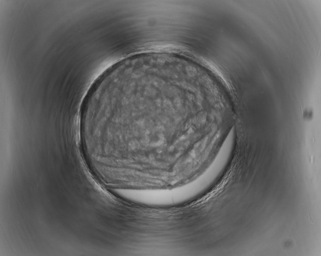 X0000098231079200805151335