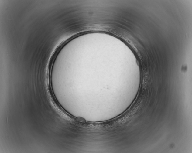 X0000098231080200805151335