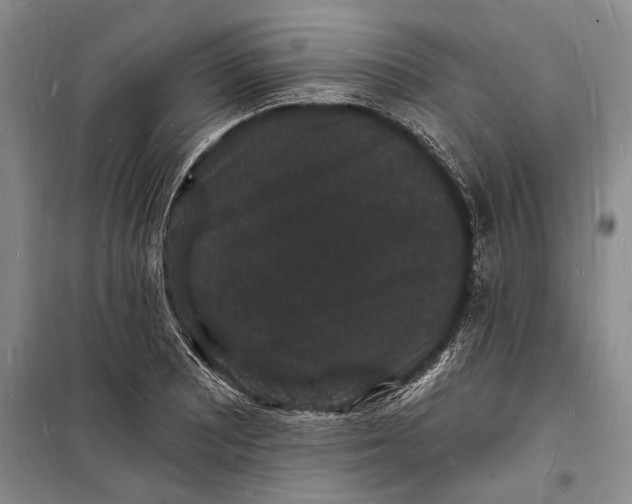 X0000098231081200805151335