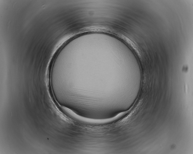 X0000098231082200805151335