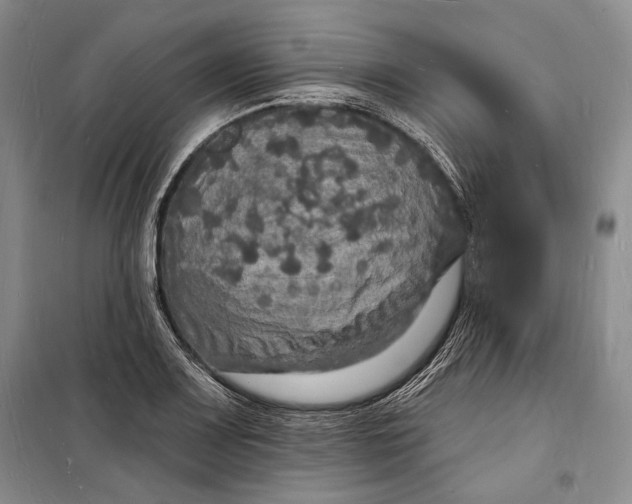 X0000098231083200805151335