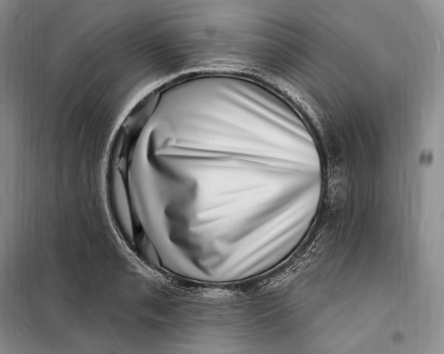 X0000098231085200805151335