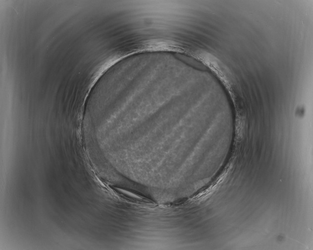 X0000098231089200805151335