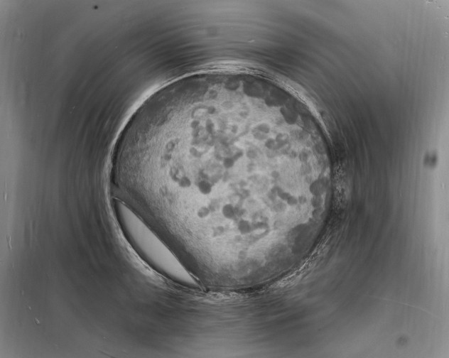 X0000098231091200805151335