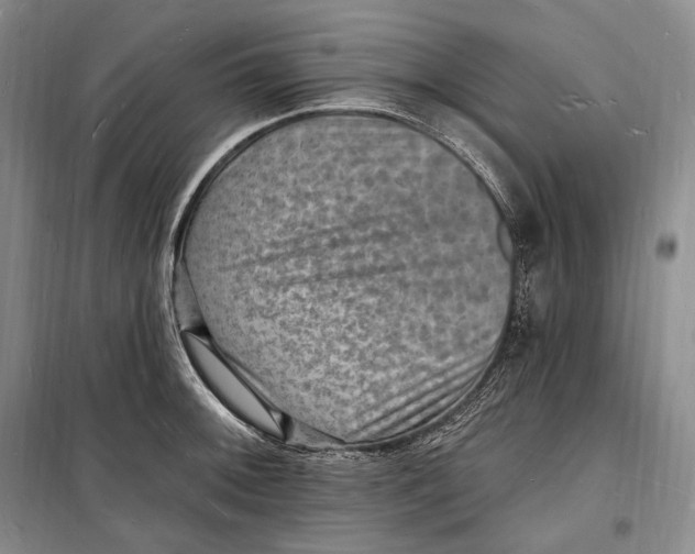 X0000098231092200805151335