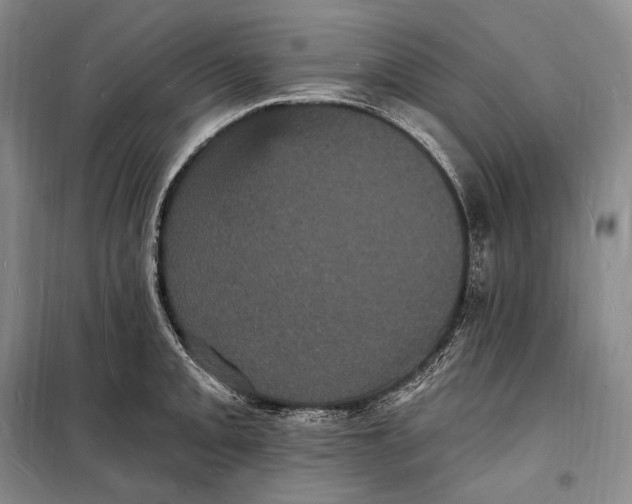 X0000098231093200805151335