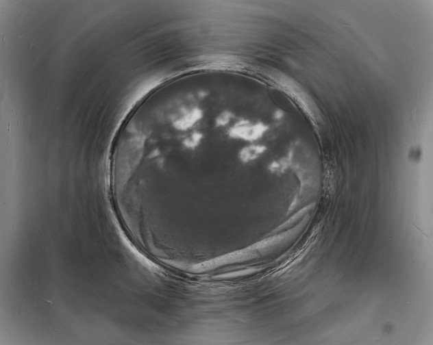 X0000098231095200805151335