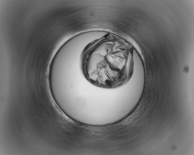 X0000098231096200805151335