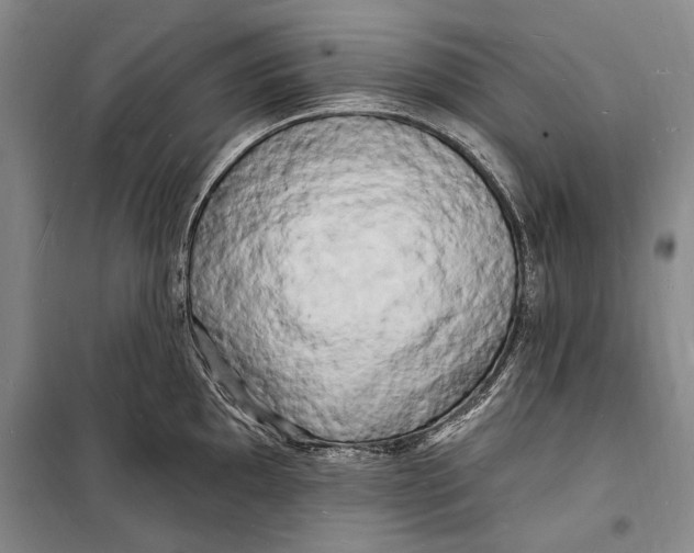 X0000098231097200805151335