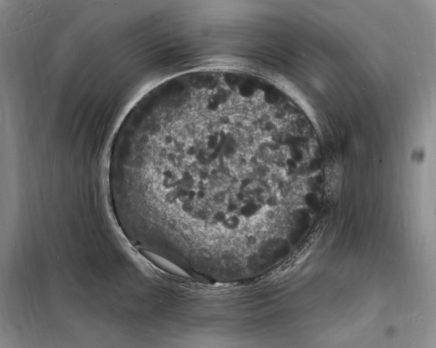 X0000098231099200805151335