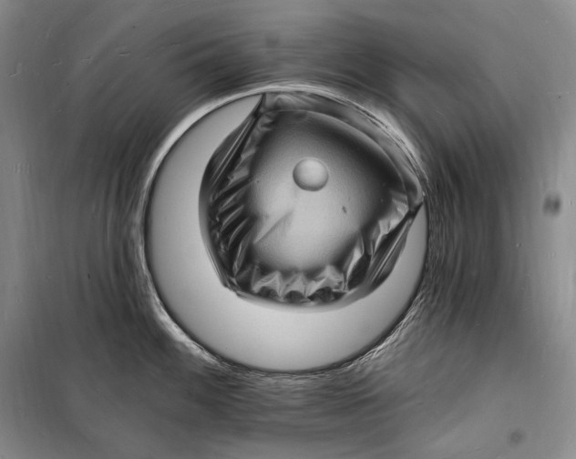 X0000098231100200805151335