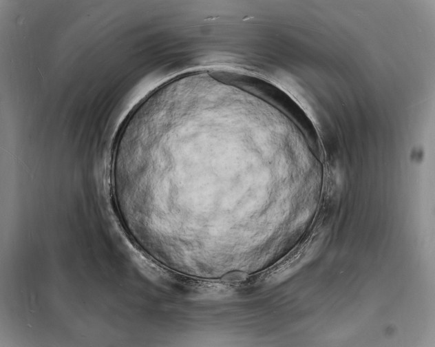 X0000098231101200805151335