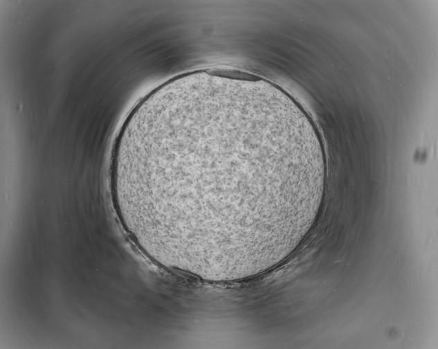 X0000098231104200805151335