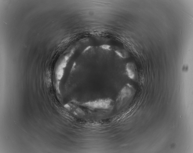 X0000098231106200805151334