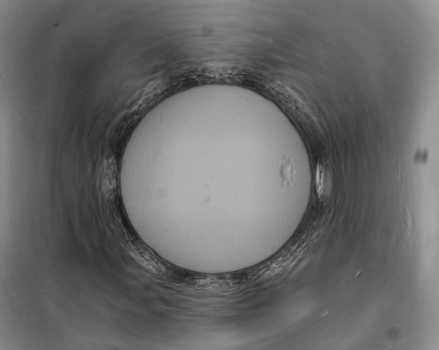 X0000098231107200805151334