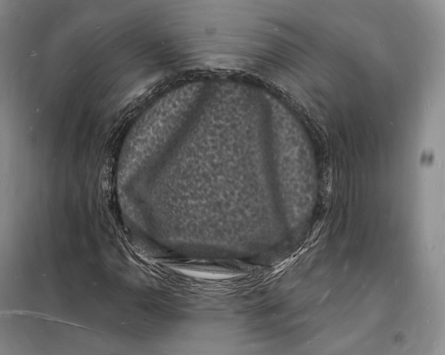 X0000098231110200805151334