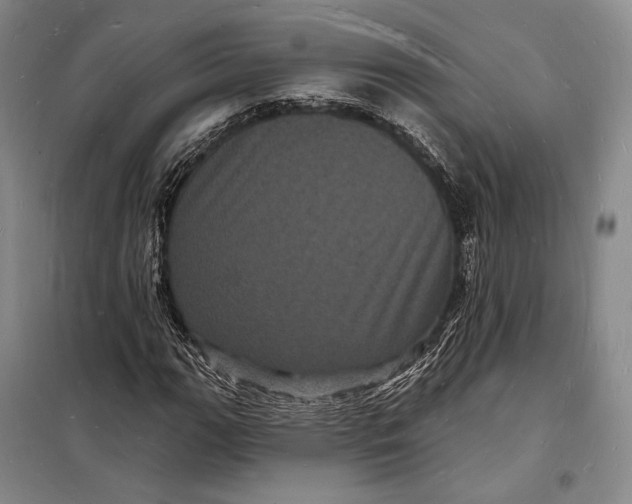 X0000098231111200805151334