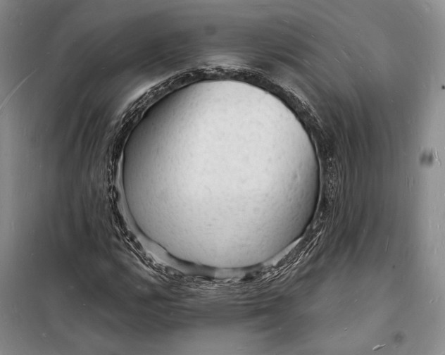 X0000098231112200805151334