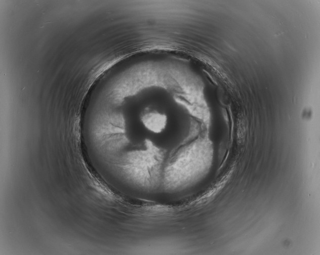 X0000098231113200805151334