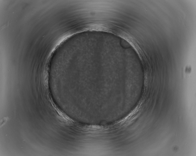 X0000098231115200805151334