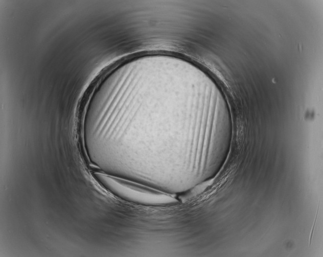 X0000098231116200805151334