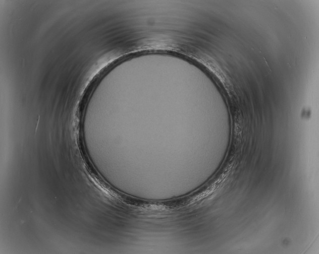 X0000098231119200805151334