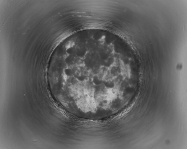 X0000098231121200805151334